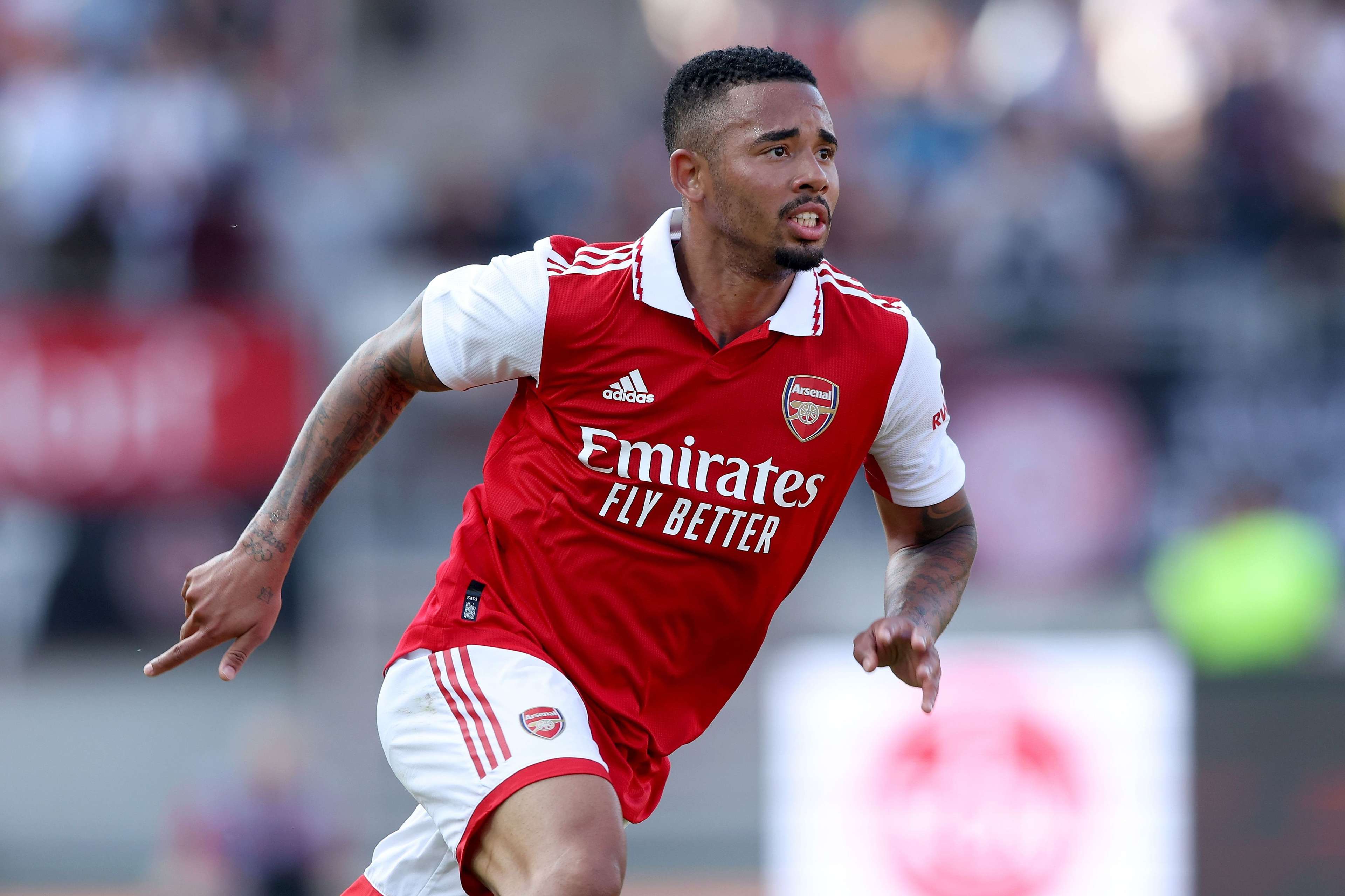 费尔南德斯 费尔南德斯